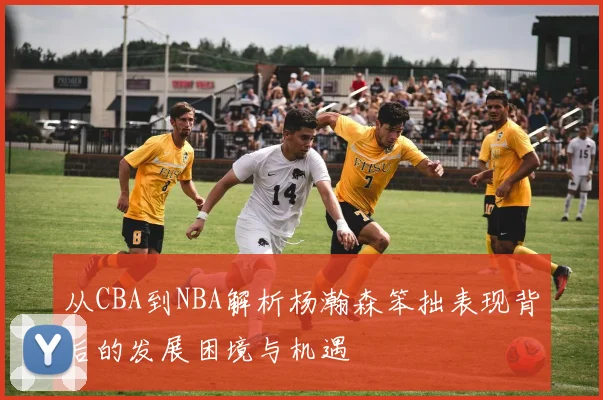 从CBA到NBA解析杨瀚森笨拙表现背后的发展困境与机遇