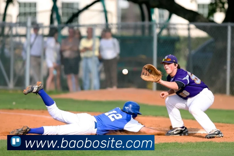 宝博体育平台生态图