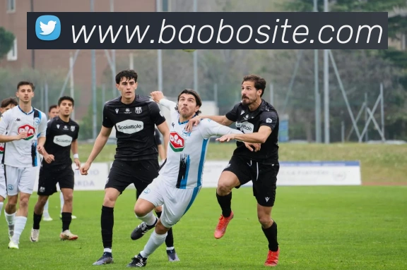 宝博体育服务体系