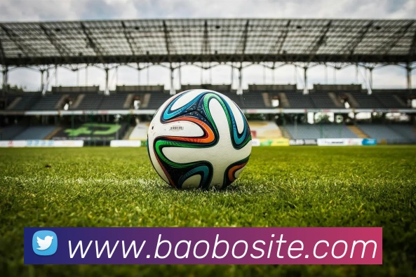 宝博体育APP 封面图